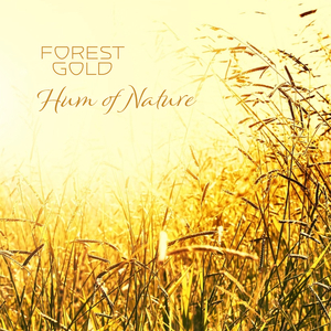 何宏军最新消息今天
