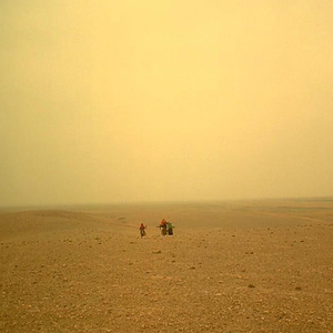 何宏军最新消息今天
