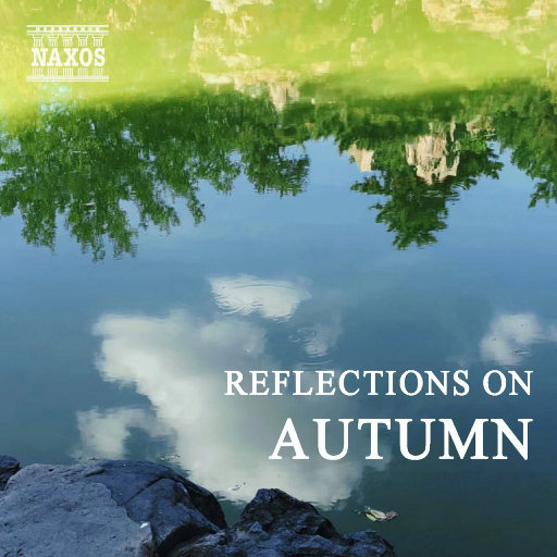 何宏军最新消息今天
